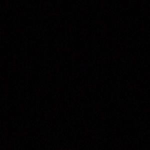 Meet your Posher, Rodrigo